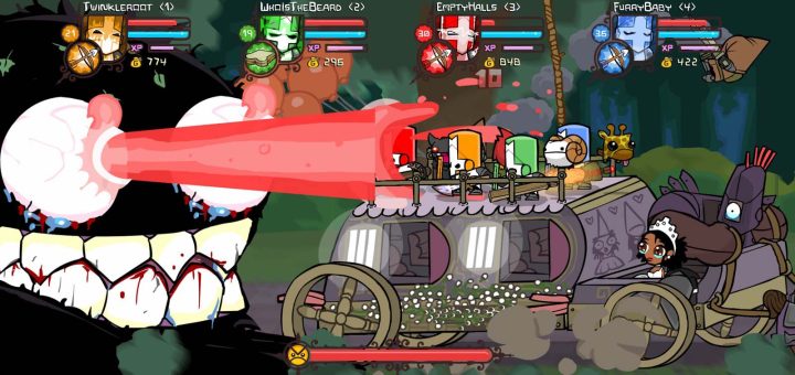 Castle Crashers Review