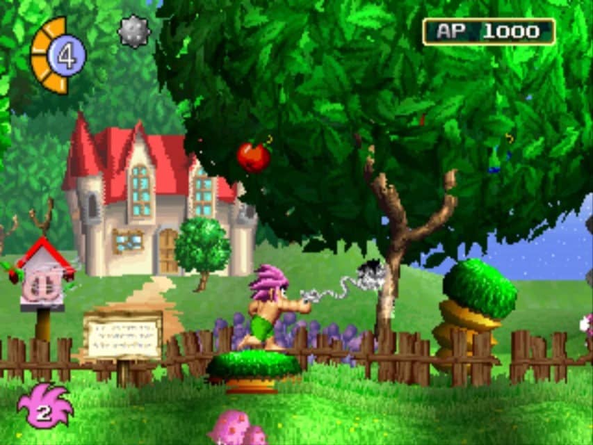 Tomba Review