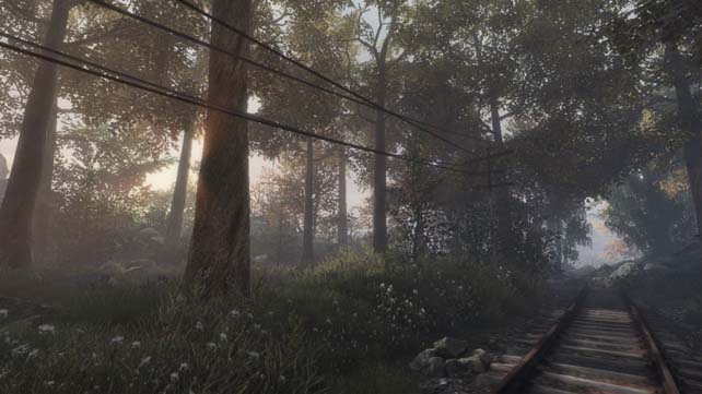 The Vanishing Of Ethan Carter (2)
