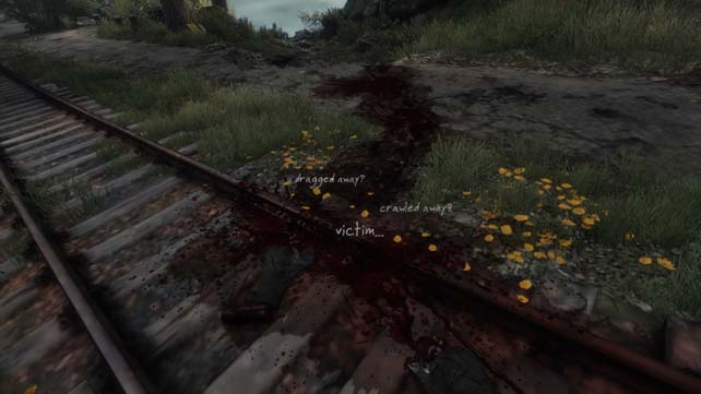 The Vanishing Of Ethan Carter (3)