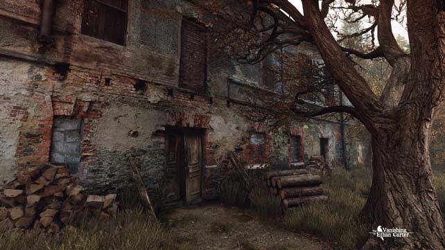 The Vanishing of Ethan Carter (5)