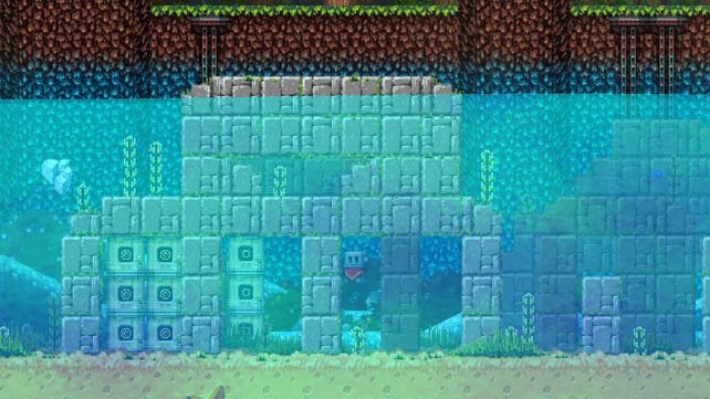Poncho (4)