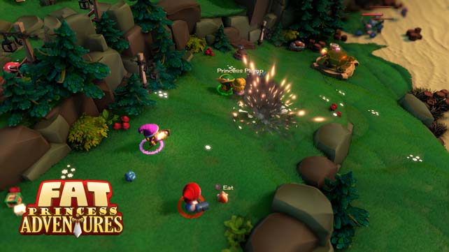 Fat Princess Adventures (4)