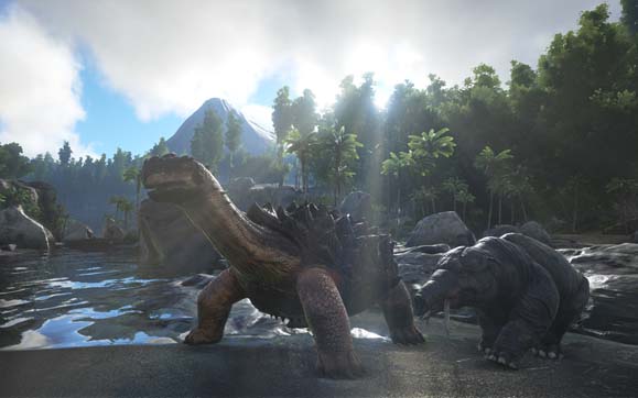 Ark (1)