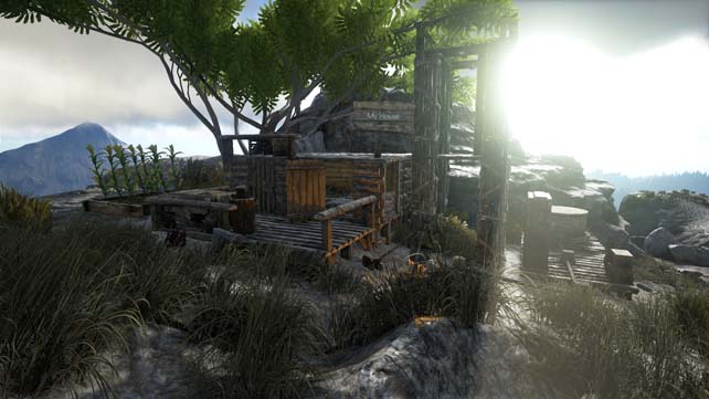 Ark (3)