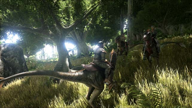 Ark (4)