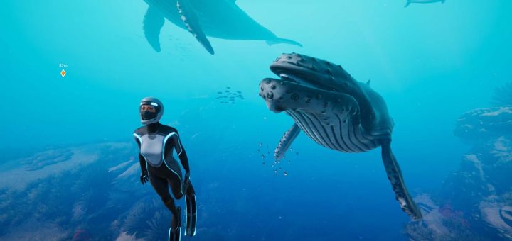 Beyond Blue review