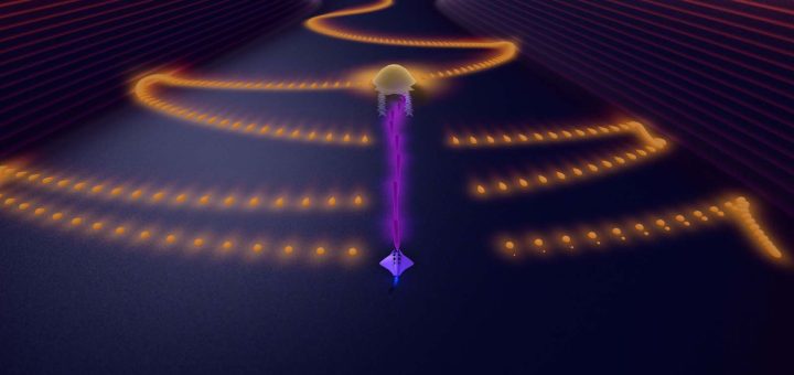 Flowing Lights Review