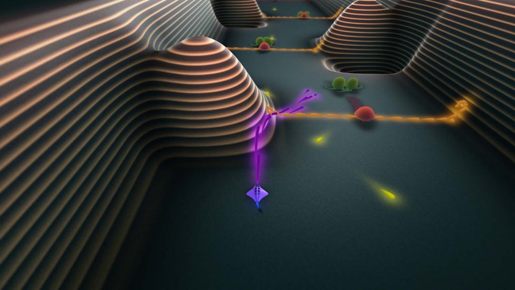 Flowing Lights Review