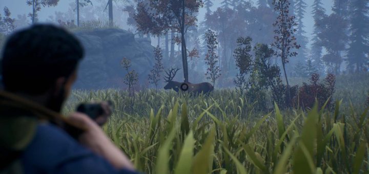 open country review elk hunt