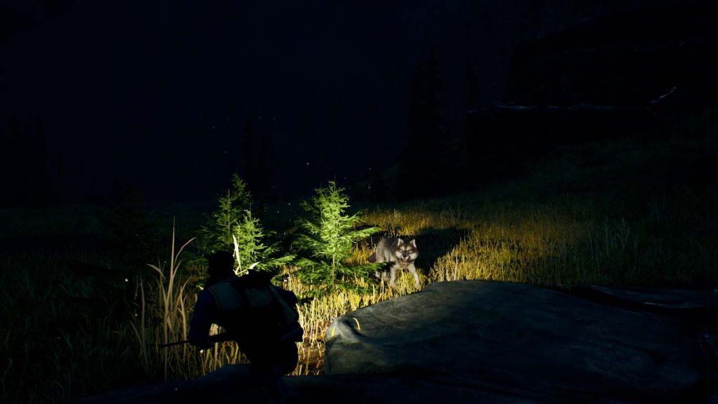 open country review night time