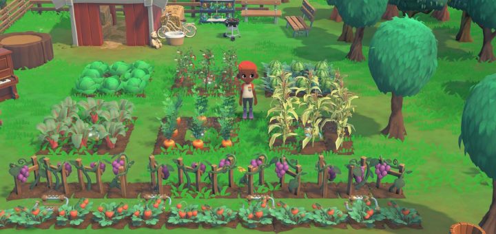 Hokko Life Preview