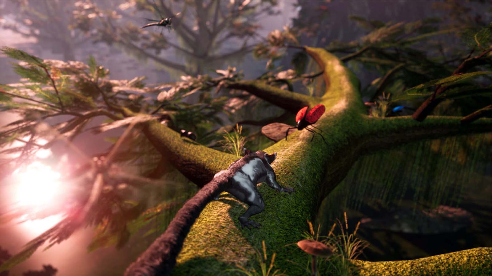 Away The Survival Series Review