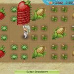 Rune Factory 4 Special Review