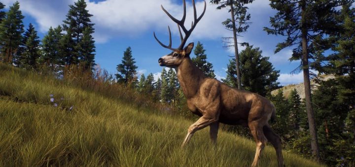 Way Of The Hunter Review