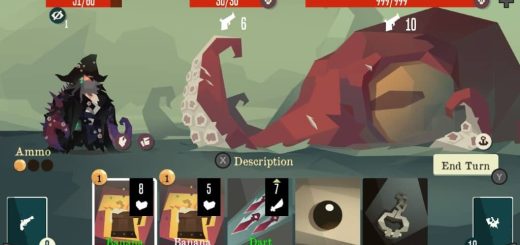 Pirates Outlaws Review