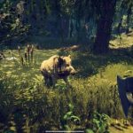 Survival Fountain of Youth Preview