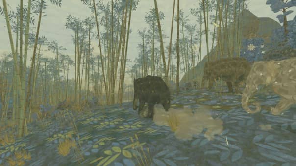 Shelter 3 Review
