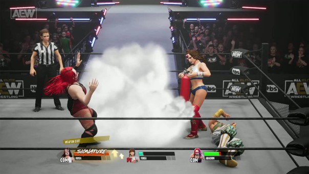 AEW Fight Forever Review
