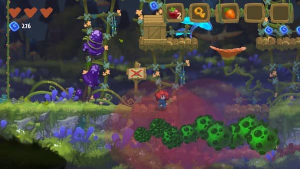 Potata Fairy Flower Review