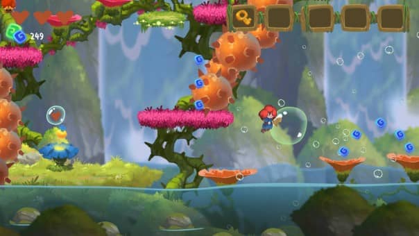 Potata Fairy Flower Review