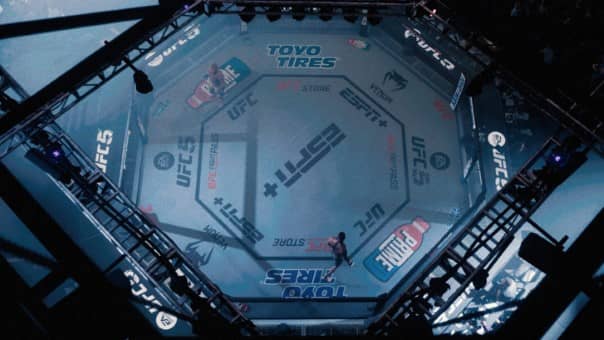 UFC 5 Review