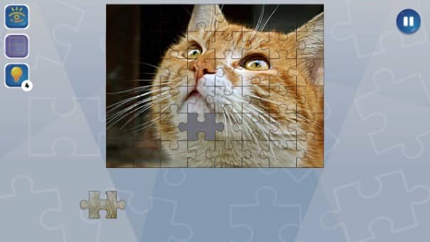 Jigsaw Puzzle Fever Review