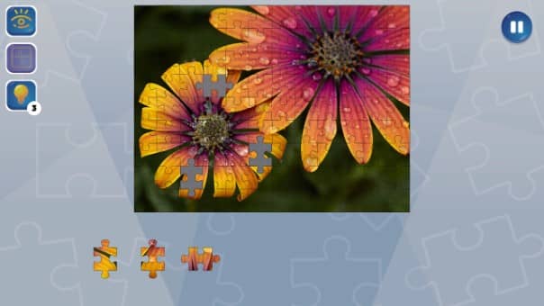 Jigsaw Puzzle Fever Review