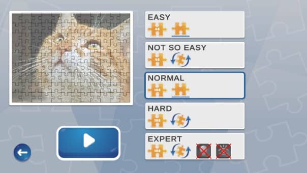 Jigsaw Puzzle Fever Review