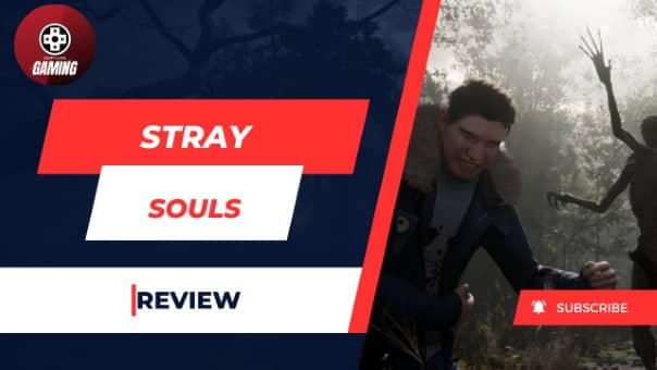 Stray Souls Video review