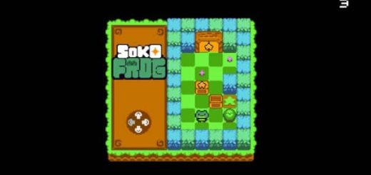 SokoFrog Review