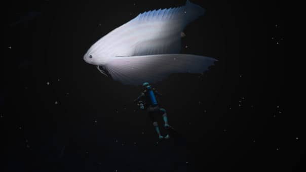 Endless Ocean Luminous Review