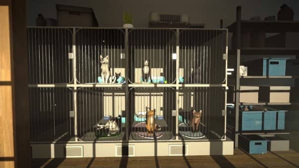 Copycat Review