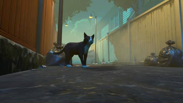 Copycat Review
