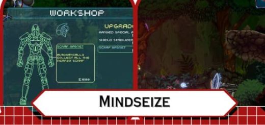 Mindseize Review