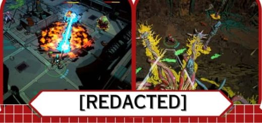 [REDACTED] Review
