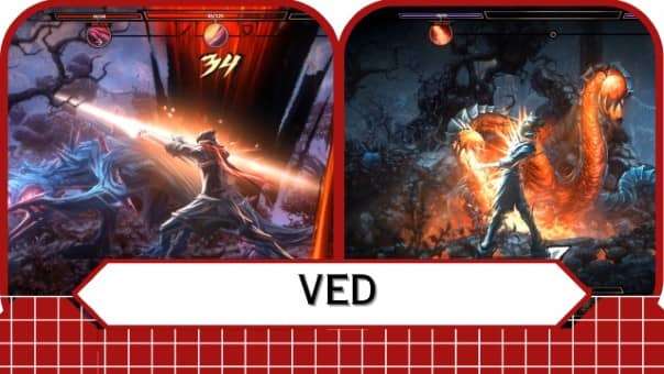 VED Review