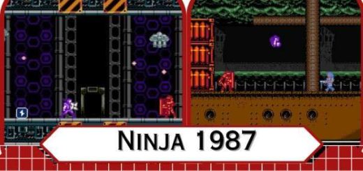 Ninja 1987 Review