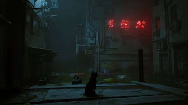 Stray Review