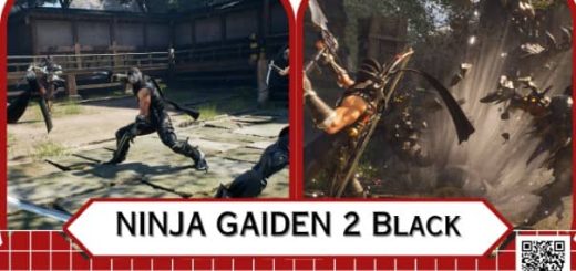 NINJA GAIDEN 2 Black Review