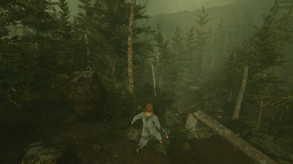 Nate steps into the forest in Baby Steps, marking the start of a slow, unpredictable journey through nature and physics-driven terrain.