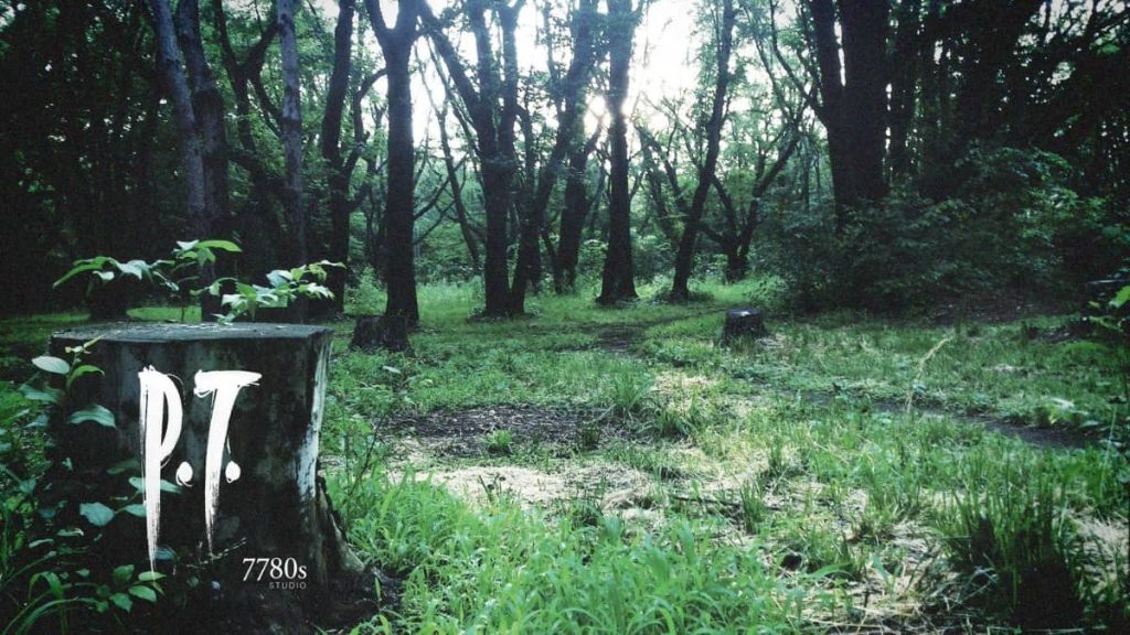 The iconic P.T. Silent Hills demo title screen on PS4, famously delisted by Konami.
