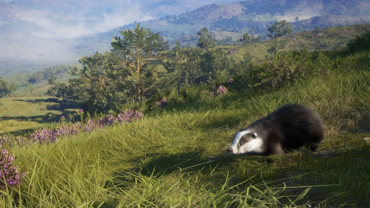 A lively badger running through the Scottish forest in theHunter Call of the Wild Scotland Hunting Reserve.