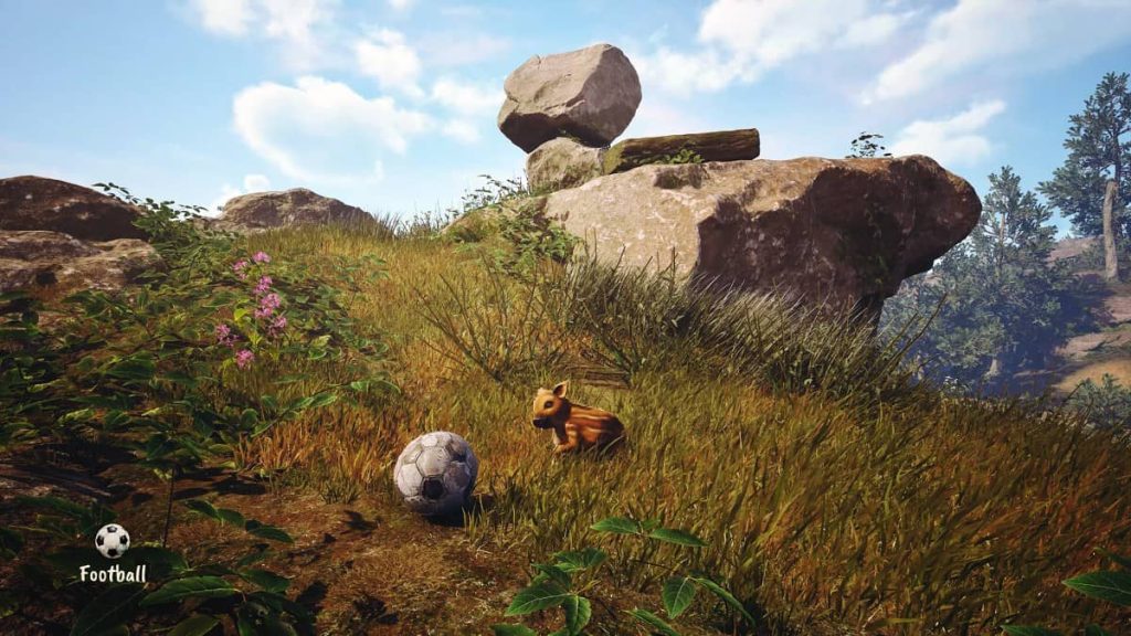 The pig stands on a rocky mountainside next to a football in Adorable Adventures by Gert Lush Gaming.