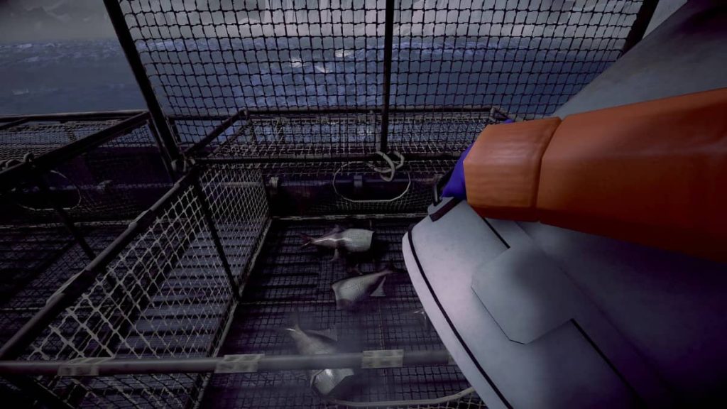 A player loads fresh fish into crab cages for the next big drop during Gert Lush Gaming’s Crabmeat session.